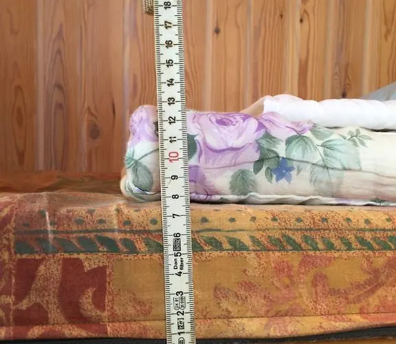 So База отдыха 3*